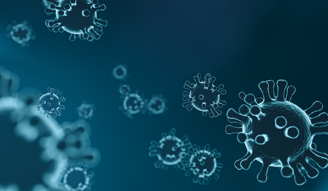 Department of Health: Corona Virus Update